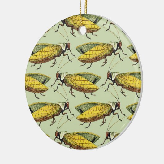 Een kruid van het Ornament van Katydids (Links)