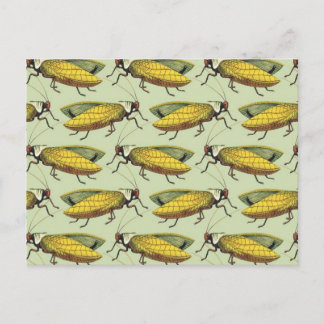 Een kruid van Katydids Briefkaart