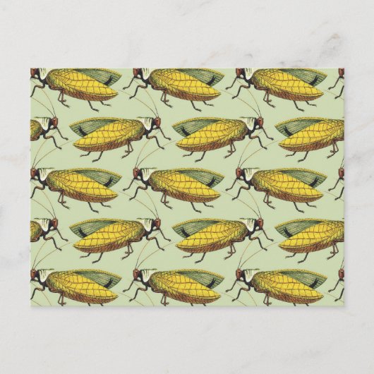 Een kruid van Katydids Briefkaart (Voorkant)