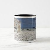 Een kruimelende bunker tweekleurige koffiemok (Center)