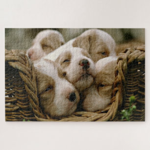 Een kruipermand vol puppies slapen legpuzzel