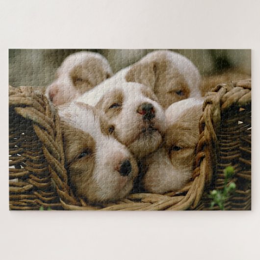 Een kruipermand vol puppies slapen legpuzzel (Horizontaal)