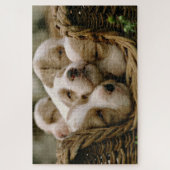 Een kruipermand vol puppies slapen legpuzzel (Verticaal)