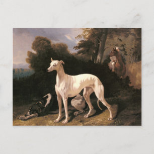 Een kruit in een uitgebreid landschap van de Dreux Briefkaart