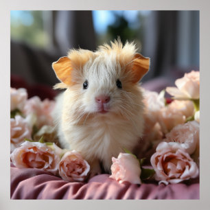 Een krullend pluizig cavia poster