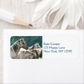 Een kudde Brumby Horses uit Australië Etiket (Insitu)