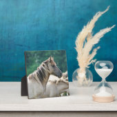 Een kudde Brumby Horses uit Australië Fotoplaat (Insitu)