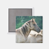 Een kudde Brumby Horses uit Australië Magneet (Voorkant / Achterkant)