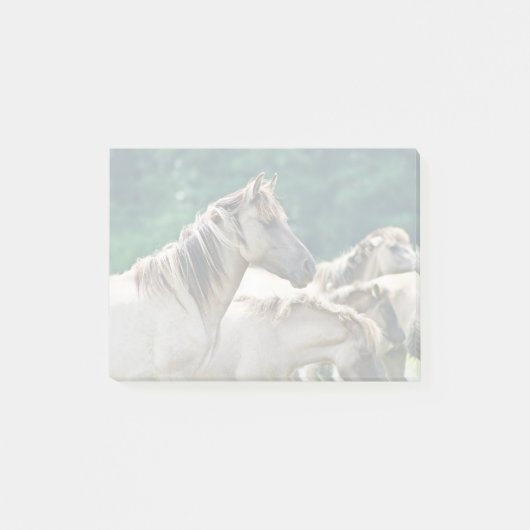 Een kudde Brumby Horses uit Australië Post-it® Notes (Voorkant)