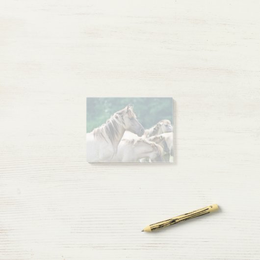 Een kudde Brumby Horses uit Australië Post-it® Notes (Op bureau)