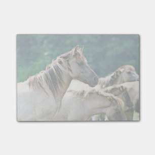 Een kudde Brumby Horses uit Australië Post-it® Notes