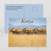 Een kudde Eland Masai Mara Nationaal Reservaat Ken Briefkaart (Voorkant / Achterkant)