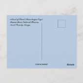 Een kudde Eland Masai Mara Nationaal Reservaat Ken Briefkaart (Achterkant)