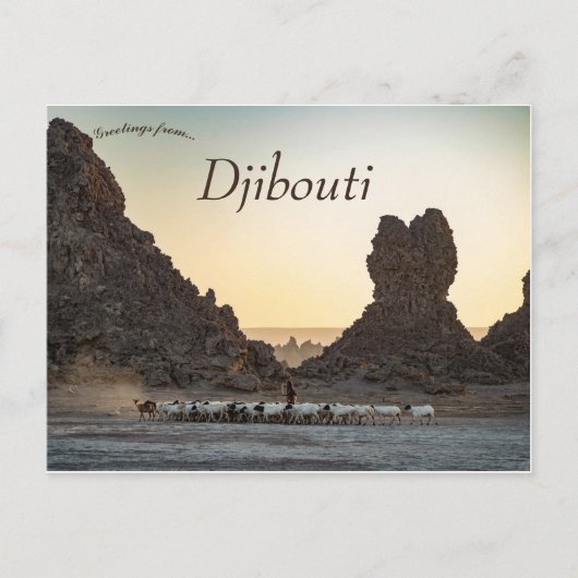 Een kudde geiten in Lac Abbe Djibouti Briefkaart (Voorkant)