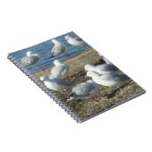 Een kudde van het Notitieboek van Seagulls (Rechterzijde)
