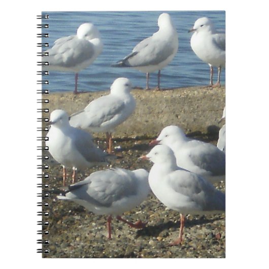 Een kudde van het Notitieboek van Seagulls (Voorkant)