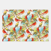 Een kudde veren inpakpapier vel (Voorkant 3)