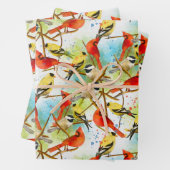 Een kudde veren inpakpapier vel (In situ)