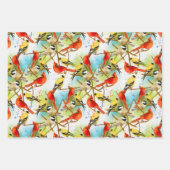 Een kudde veren inpakpapier vel (Voorkant)