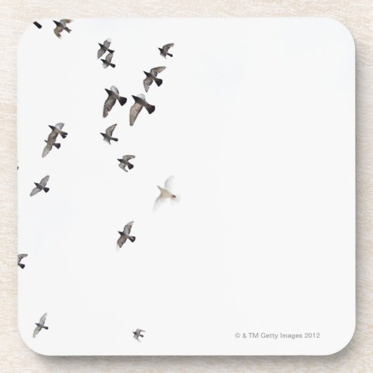 Een kudde vogels vliegen aan de hemel bier onderzetter (Voorkant)