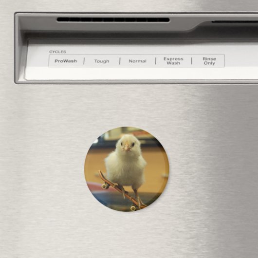 Een kuiken op skateboard versierde magneet (Insitu (Vaatwasser))