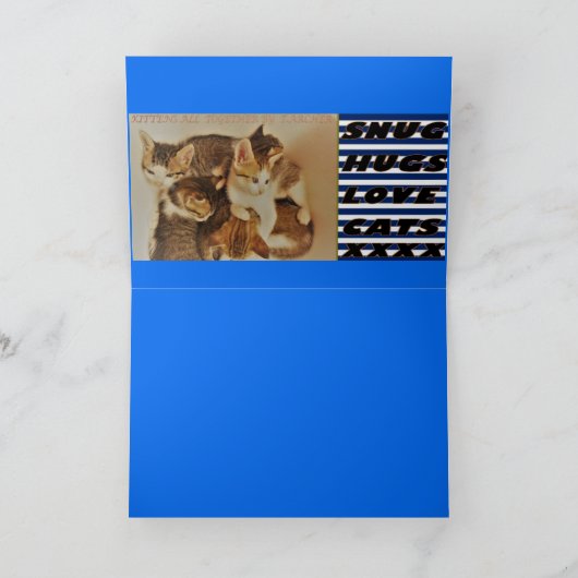 Een kunstschildpad van de Liefde blauwe hint van p Kaart (Binnen)