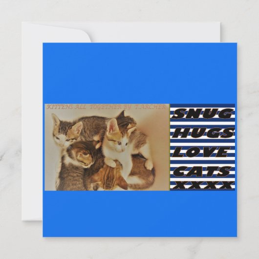 Een kunstschildpad van de Liefde blauwe hint van p Kaart (Achterkant)