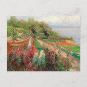 Een kustlandschap | Olga Wisinger-Florian Briefkaart (Voorkant)