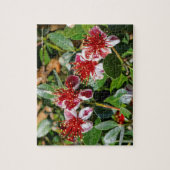 Een kwartet anananasguave / Guavasteen Flowers Legpuzzel (Verticaal)