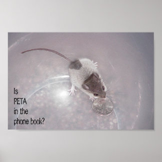 Eén laatste oproep poster