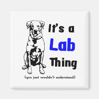 Een labrador ding magneet