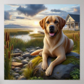 Een Labrador Retriever Rust in het Land Poster (Voorkant)