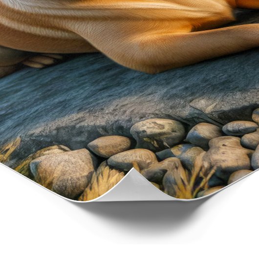 Een Labrador Retriever Rust in het Land Poster (Hoek)