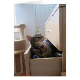 Een lade voor een INdigo-kaart