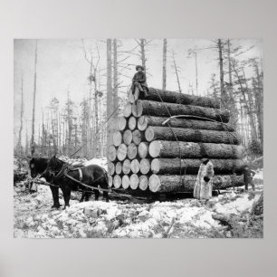 Een lading hout vervoeren, 1908. Oude foto Poster