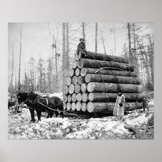 Een lading hout vervoeren, 1908. Oude foto Poster (Voorkant)