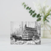 Een lading logboeken, 1908 briefkaart (Staand voorkant)