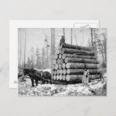 Een lading logboeken, 1908 briefkaart (Voorkant / Achterkant)