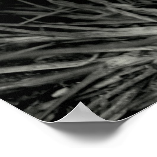 Een Ladybug op bladeren Poster (Hoek)