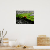 Een Ladybug op bladeren Poster (Keuken)