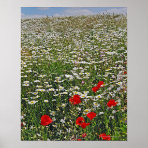 Een landbouwgebied met witte, door de mond aangeta poster