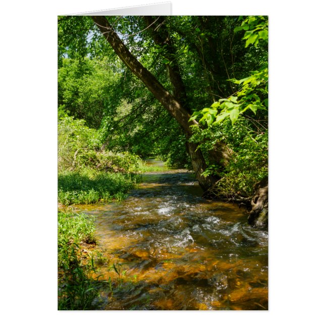 Een landkreek (Voorkant)