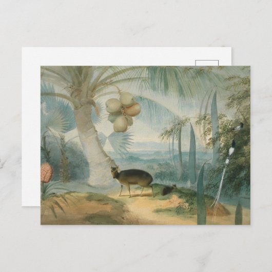 Een landschap in Ceylon door Samuel Daniell Briefkaart (Voorkant / Achterkant)