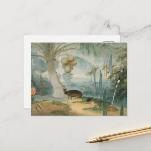 Een landschap in Ceylon door Samuel Daniell Briefkaart (Voorkant / Achterkant in situ)