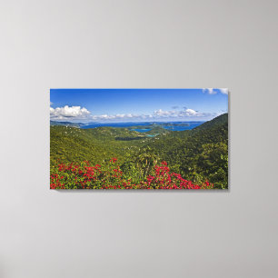Een landschap van Cruse Bay, St. John Amerikaanse Canvas Afdruk