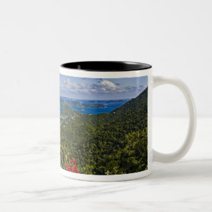 Een landschap van Cruse Bay, St. John Amerikaanse Tweekleurige Koffiemok