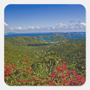 Een landschap van Cruse Bay, St. John Amerikaanse  Vierkante Sticker