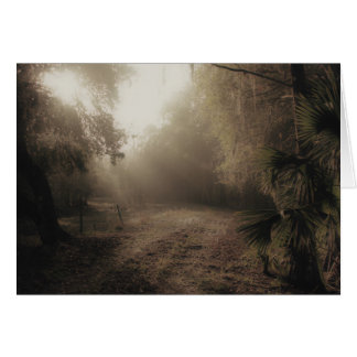 Een landweg in Florida