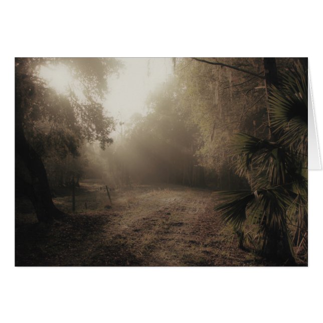 Een landweg in Florida (Voorkant Horizontaal)