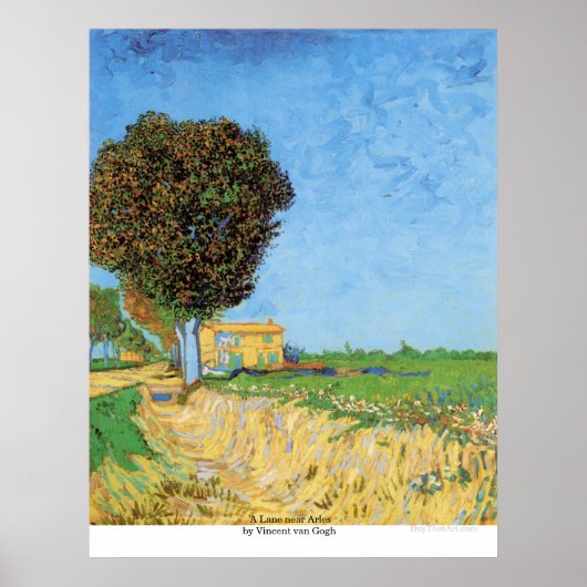 Een Lane bij Arles door Vincent van Gogh Poster (Voorkant)